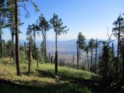 Madera Peak, Arizona