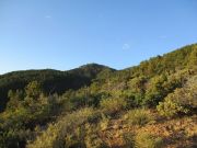 Madera Peak, Arizona