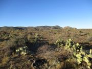 McCloud Mountain, Arizona