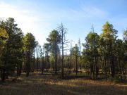 8147 Hollingshead Mountain, Arizona