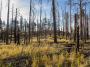 8147 Hollingshead Mountain, Arizona