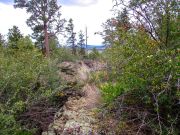 Pine Hill Mormon Lake, Arizona