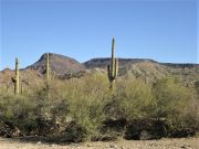 Black Mesa Plomosa Range, Arizona
