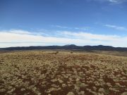 Cerro Quemado, Arizona