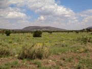 Rattlesnake Crater, Arizona