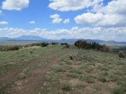 Rattlesnake Crater, Arizona
