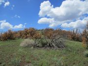 Rattlesnake Crater, Arizona
