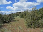 Rattlesnake Crater, Arizona