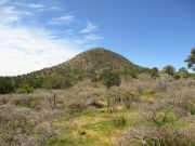 Timber Camp Peak, Arizona