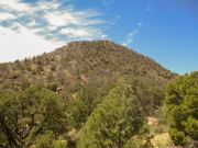 Timber Camp Peak, Arizona