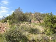 Timber Camp Peak, Arizona