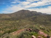 Timber Camp Peak, Arizona