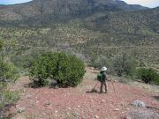 Timber Camp Peak, Arizona