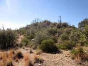 Rose Peak, Arizona