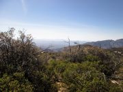 Rose Peak, Arizona
