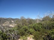 Rose Peak, Arizona