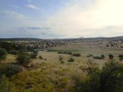 Round Mountain, Arizona