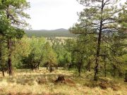 Summit Mountain 7 Bar K Hill, Arizona