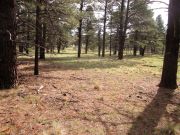Summit Mountain 7 Bar K Hill, Arizona