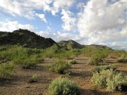Shaw Butte, Arizona