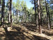 Stoneman Lake Bill Back Butte Jones, Arizona