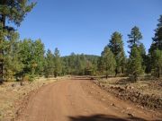 Stoneman Lake Bill Back Butte Jones, Arizona