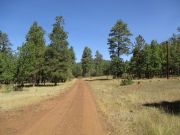 Stoneman Lake Bill Back Butte Jones, Arizona