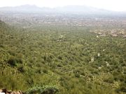 Taliesin Overlook McDowell, Arizona