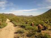 Taliesin Overlook McDowell, Arizona