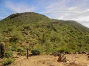 Taliesin Overlook McDowell, Arizona