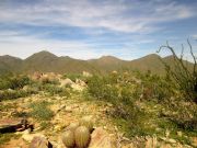 Taliesin Overlook McDowell, Arizona