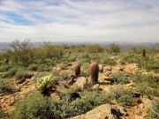 Taliesin Overlook McDowell, Arizona