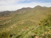 Taliesin Overlook McDowell, Arizona