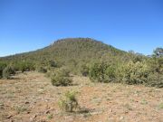 Timber Camp Peak, Arizona