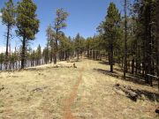 Walker Lake Crater, Arizona