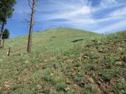 White Horse Hills, Arizona