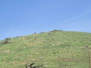 White Horse Hills, Arizona