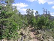 Bill Williams Mountain, Arizona