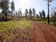 Woody Mountain, Arizona