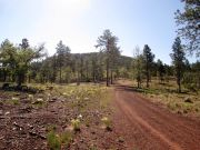 Woody Mountain, Arizona