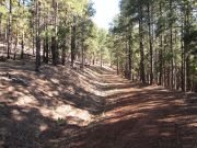 Woody Mountain, Arizona