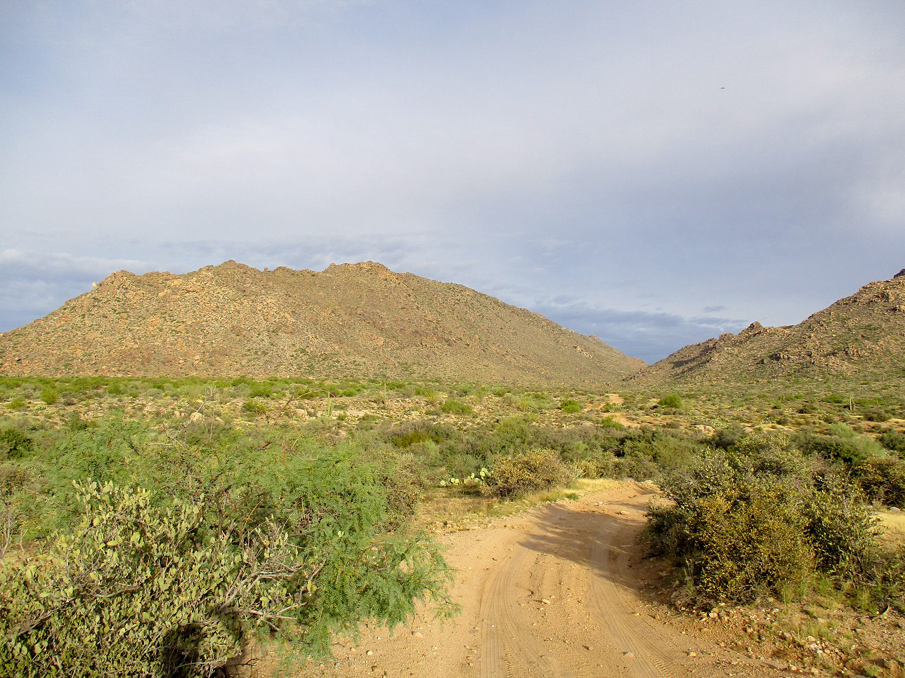 Date Creek Mountain, Arizona --- Peakbagging, Highpoints and Mountains ...