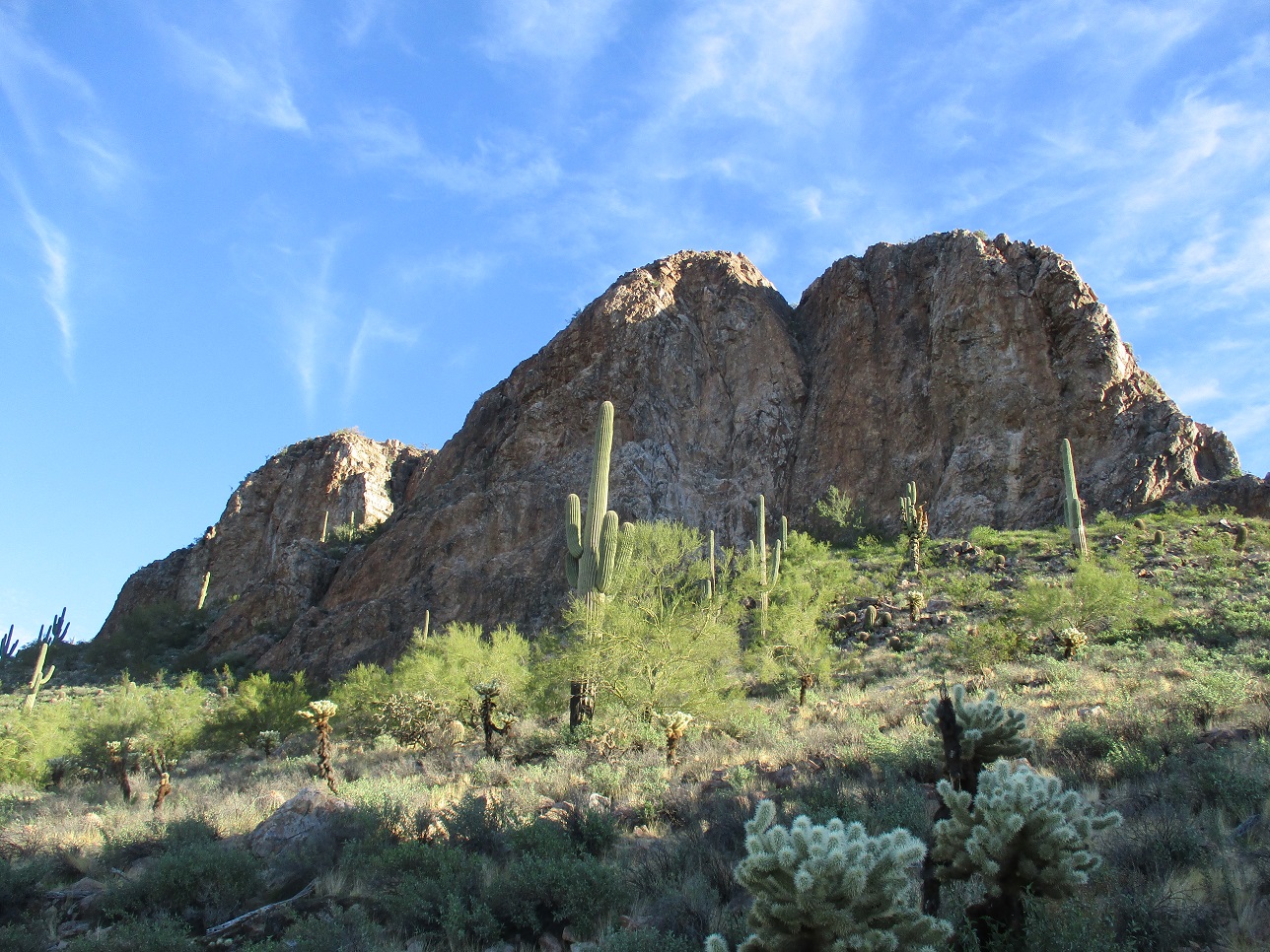 Dinosaur Mountain & Dromedary Peak, Arizona --- Peakbagging, Highpoints ...