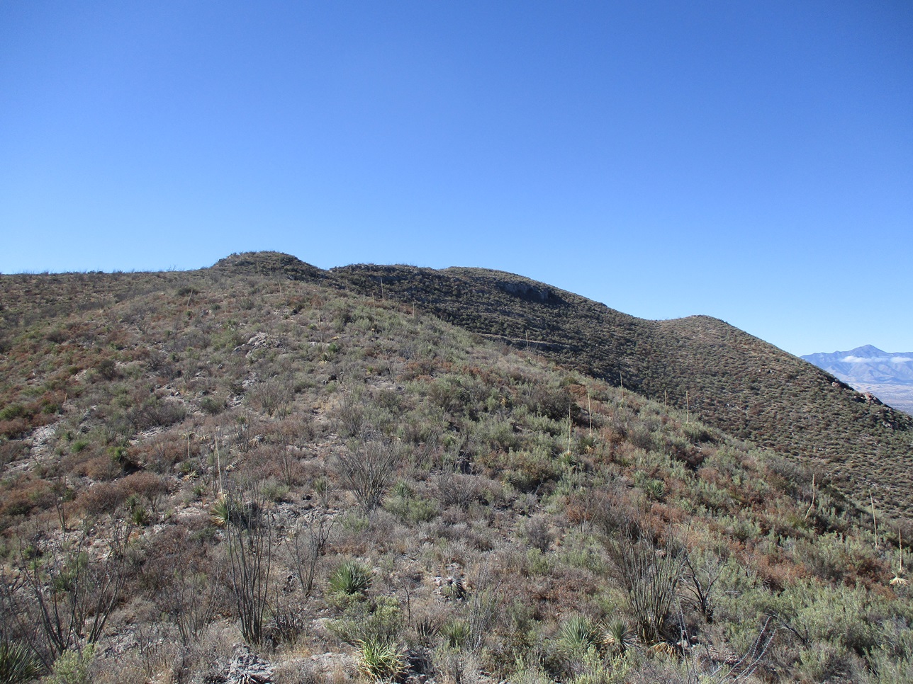 Naco Hills Highpoint, Arizona --- Peakbagging, Highpoints and Mountains ...